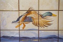 Schildert de versiering van keuken aan de hand: Vlucht van eend Colvert (groot plan).