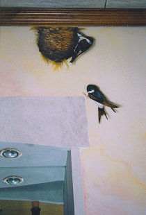 Swallows and nest on ptine marbled realized in trompe-l'oeil.