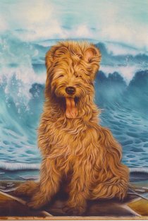 Portret van Rex, de jonge hond (briard)  van de eigenaaars.