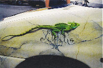 Peinture sur carrosserie : Lzard Basilic.