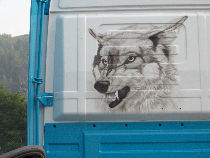 A threatening head of wolf belonged to this tuning truck.
